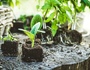 Современные технологии производства и защиты растений
